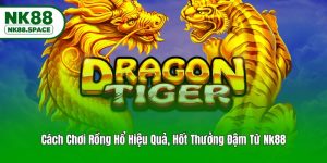 Cách Chơi Rồng Hổ Hiệu Quả, Hốt Thưởng Đậm Từ Nk88