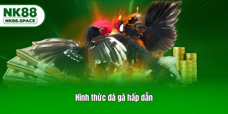 Hình thức đá gà hấp dẫn