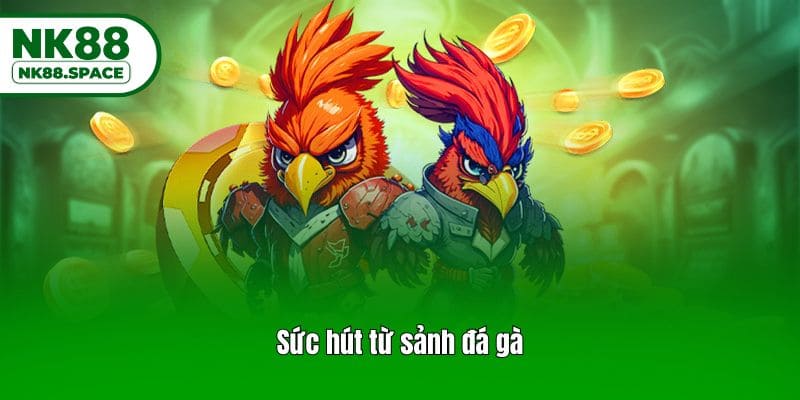 Sức hút từ sảnh đá gà