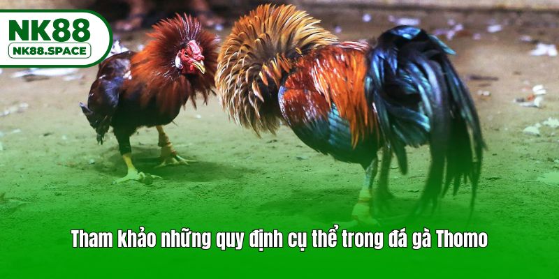 Tham khảo những quy định cụ thể trong đá gà Thomo