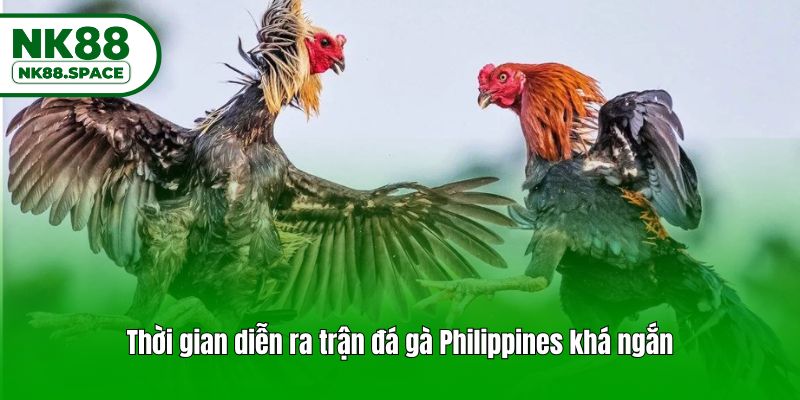 Thời gian diễn ra trận đá gà Philippines khá ngắn