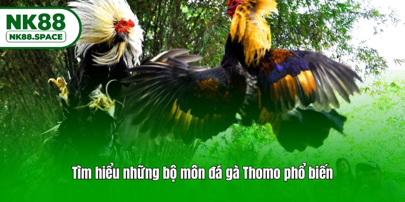Tìm hiểu những bộ môn đá gà Thomo phổ biến