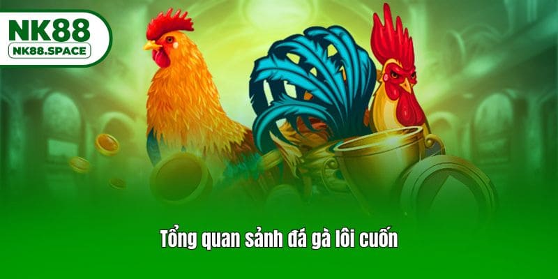 Tổng quan sảnh đá gà lôi cuốn