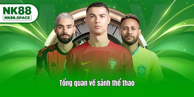 Tổng quan về sảnh thể thao